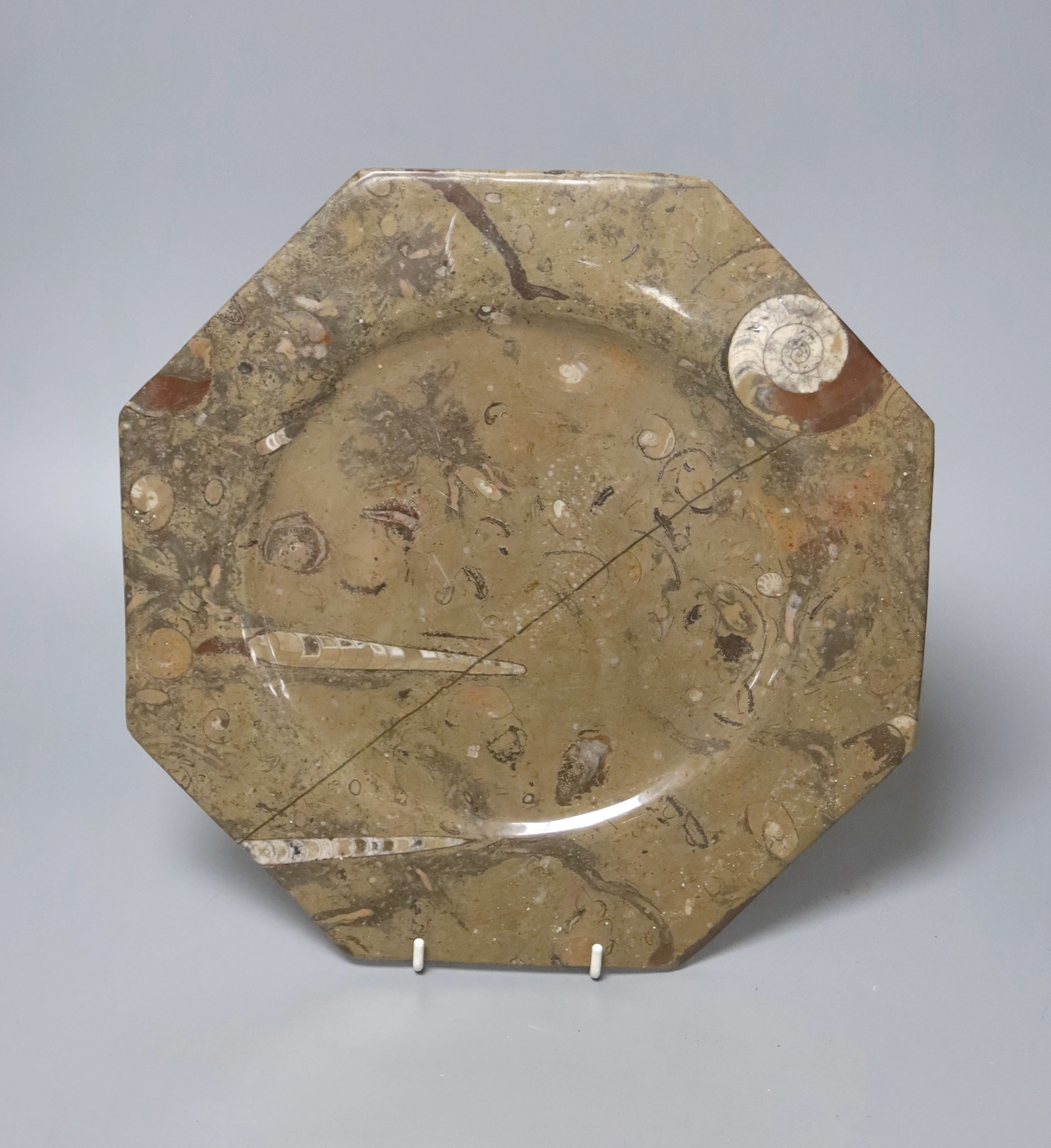 A fossil marble octagonal dish 30cm, containing an ammonite and belemnites